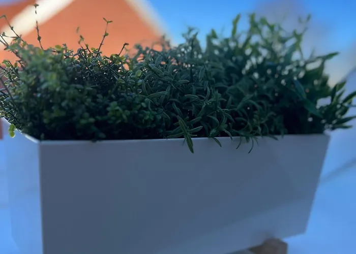 Zeitapartments Altstadtlage *